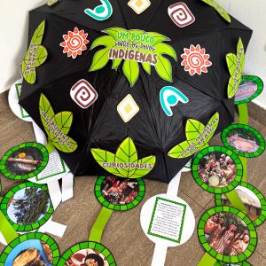 Guarda-chuva: Povos indígenas