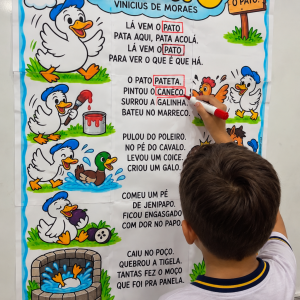 Kit: O pato de Vinícius de Morais